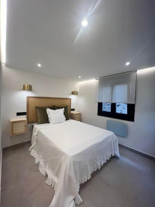 Loft Anfiteatro